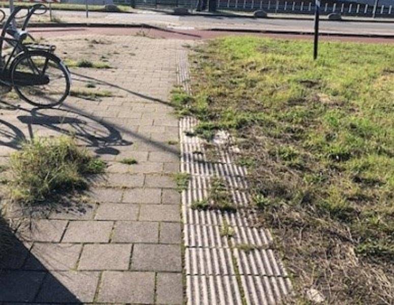 Overwoekerde geleidelijn vanaf bushalte richting Maxisterrein.