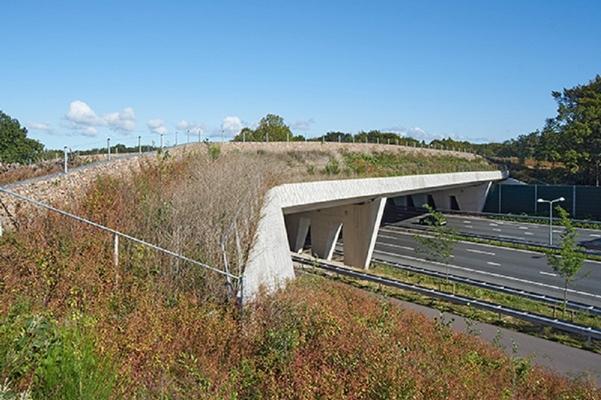 de natuurbrug gezien over de snelweg
